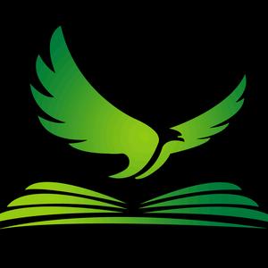 新源泉Adam老师头像