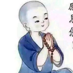 我敬菩提头像