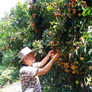 唱着山歌走天下头像