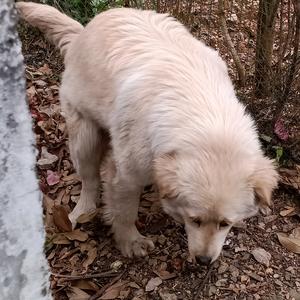 十年换天真头像