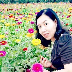 金萍苗木种子头像