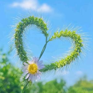 家有俩宝儿头像