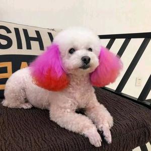 宠医星酷卡宠物医院(景园店)头像