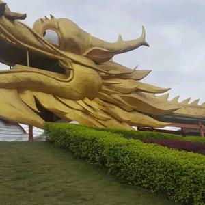 🍎🍎八哥🍎🍎头像