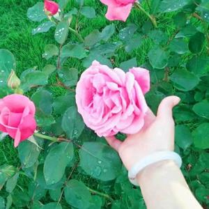 💖做最好的自己💖（单身贵族）头像