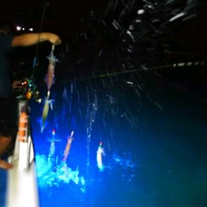 深圳土洋海滩旅游头像