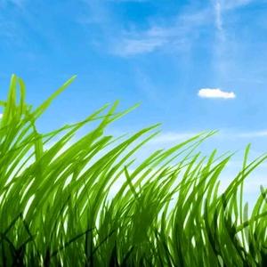 唱支山歌给你听头像