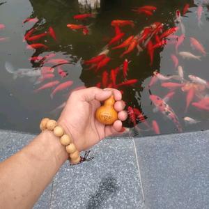 陈慧贤（慧贤传媒）头像