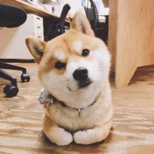 DJ头像