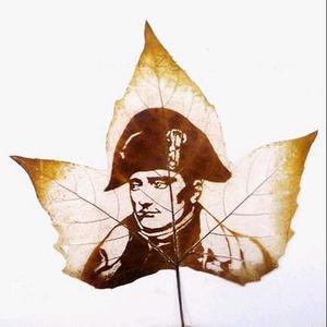 历史戰情室rr头像