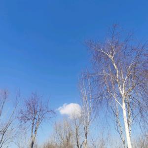 元宇宙小七头像