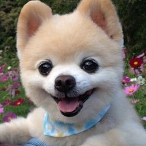 村里第一人头像