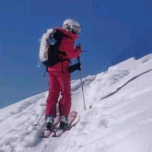 GravityDominator头像