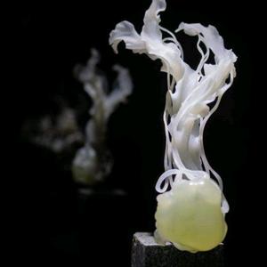 岫岩玉小伟玉器店头像