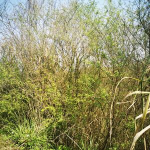 我与春风皆过客头像