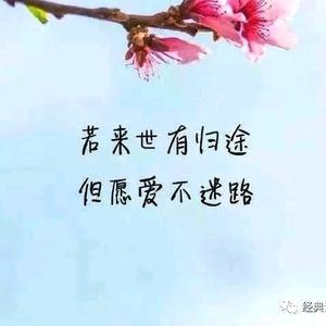 Revive  yeah头像