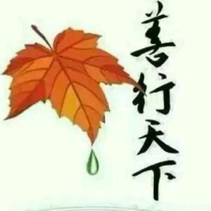 爱你青丝到白发头像