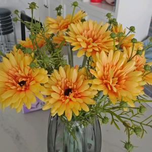 春华秋实！头像