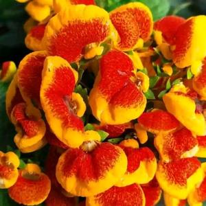 5000人赞你作品头像