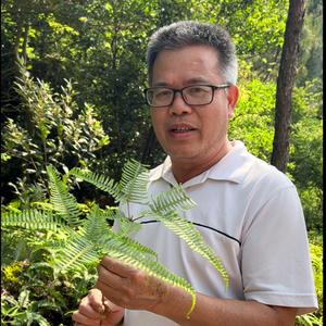 李叔说植物头像