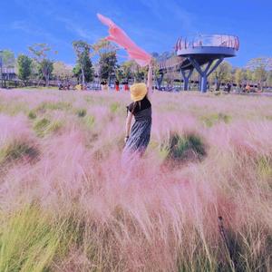 用户QQ波版糖头像