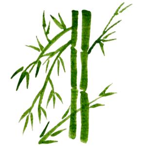 竹苓爱学习头像