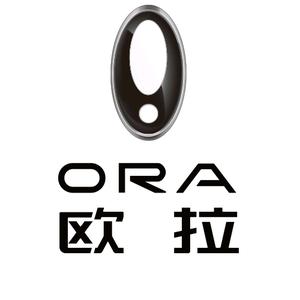 欧拉恩施-小羽头像