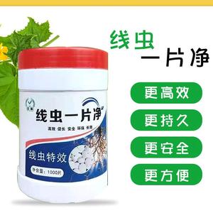 一棵一片，根结线瘤片头像