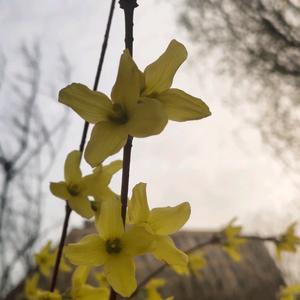 明天会更好2022头像