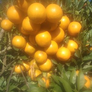 ☞开心一笑☜头像