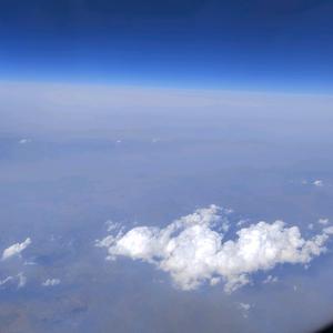 给tou音提速的蜗牛头像