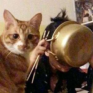 果汁分你一半头像