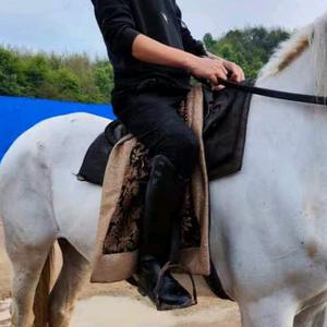 马靴厂蔡老大头像