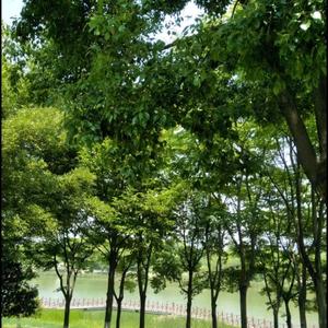 用户2066324958737头像