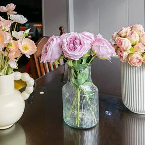 菁菁的小家头像