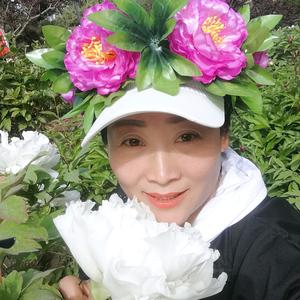 中村兰妹子头像