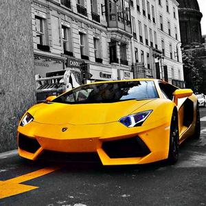 黑马heima@喜欢飞机，汽车，军事……头像