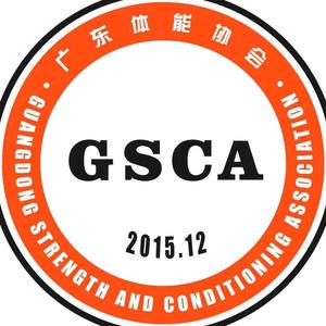 GSCA2015头像