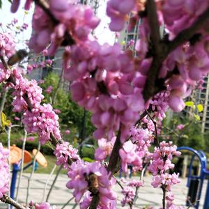 🌈抖音剪辑🌈头像