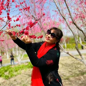 快乐人范素辇头像