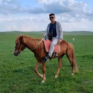 新日电动车（六安运营中心）头像