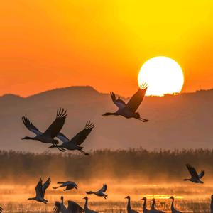 用户8459661376878赵四哥头像