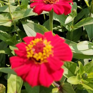 爱跳舞的People头像