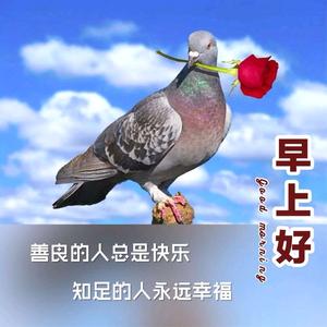 云淡风轻！头像