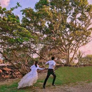 笨喵不吃蟹头像