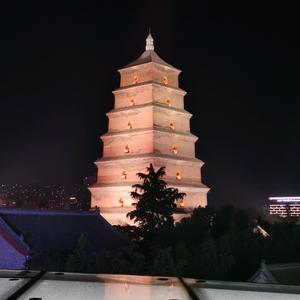 陕西建设技师学院齐老师头像