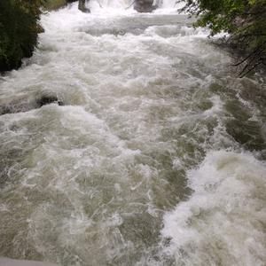 一生不醉醒头像