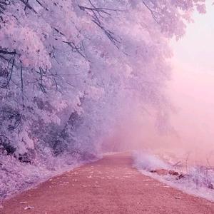 阿米那🌹🌹🌹头像