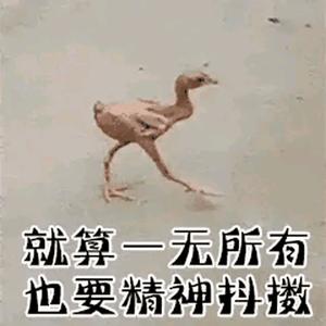 空空空头像