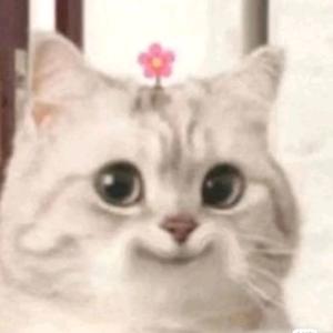 银河以南，遇见婷子头像